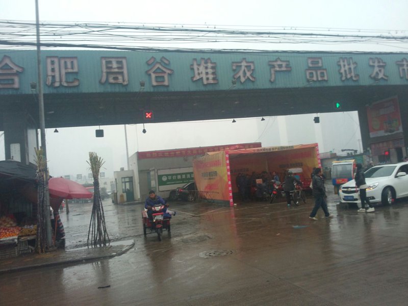 合肥商贸行业风向标：商家如何应对市场变化？